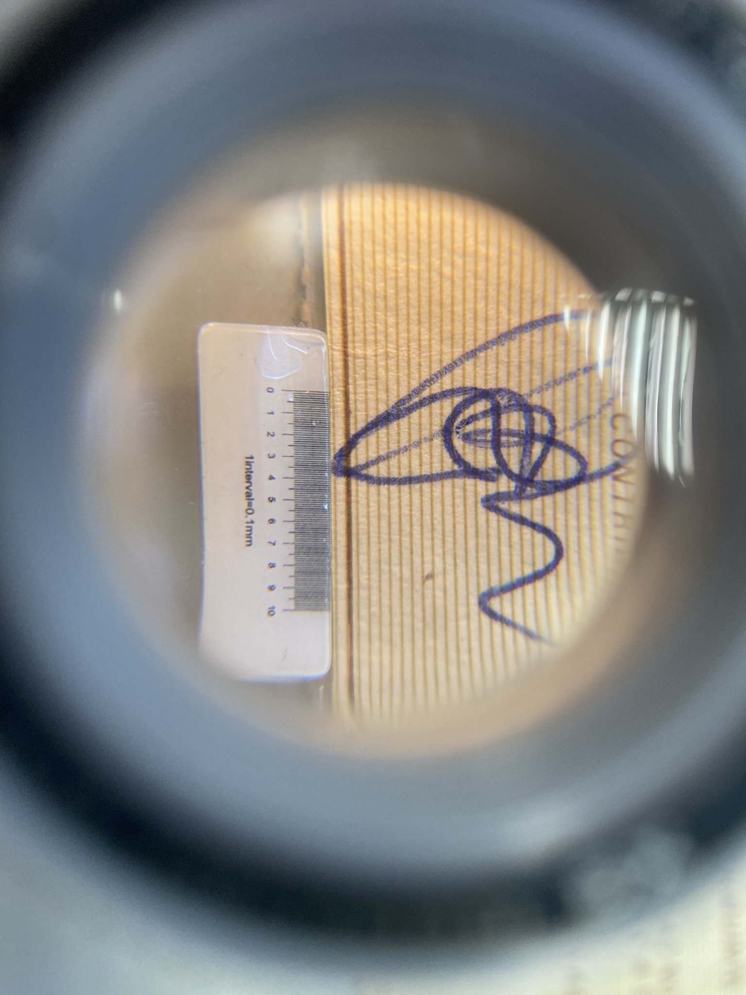 Imagem ilustrativa de perícia técnica